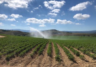 CUFARI: “LA CALABRIA È UN COLABRODO E SENZA <b>ACQUA</b> NON AVREMO FUTURO: LA ...