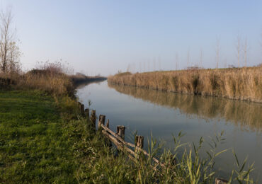 Sos biodiversità nel Bolognese, al via piano Life Green4blue