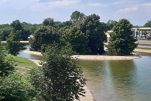 Un nuovo specchio d'<b>acqua</b> per gli uccelli a Boscoincittà