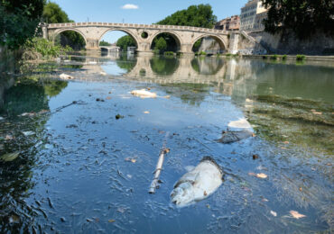 “Disseteremo Roma con l'<b>acqua</b> del Tevere”: la promessa di Acea agli azionisti