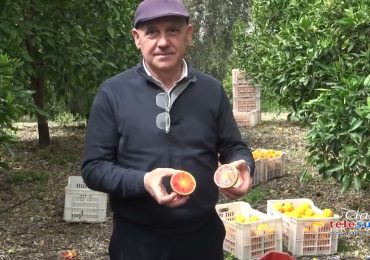 Progetto Irriap: <b>risparmio idrico</b> e prodotti di qualità - YouTube