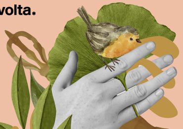 Perché il Mezzogiorno deve ripartire dalla bioeconomia - La Svolta