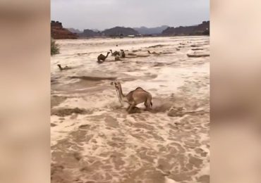 Il deserto allagato e percorso da fiumi d'<b>acqua</b>: la forza della corrente trascina con sé i ...