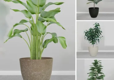 Comodo per vaso di fiori da giardino <b>risparmio idrico</b> e design resistente alla s - PicClick IT