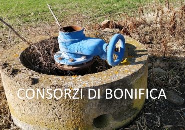 Lavoro, Fai Cisl su Ddl consorzi di bonifica: “Non diventi terreno di vagheggiamenti politici ...