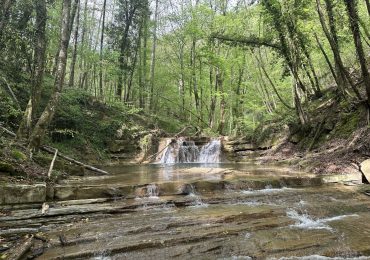 I Cammini dell'<b>acqua</b> : la risalita del Rio Farfereta - Radio Mugello