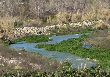 Il comitato “Insieme per l'<b>acqua</b>” scrive al consorzio Agrigento 3 per la programmazione irrigua
