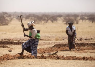 A che punto è la Grande Muraglia Verde dell'Africa contro la desertificazione - Oltremare