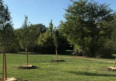 Ambiente, la 'Rete' chiama al confronto i candidati sindaci (ma solo 2 rispondono)