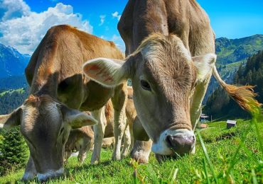 Sottoprodotti agricoli: un aiuto per la sostenibilità - LifeGate