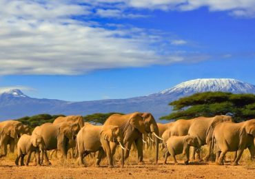 Tendenze dei tour operator africani per il 2024 - Tempo Italia