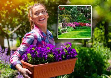 Con queste 10 piante il tuo giardino sarà il più bello di tutto il vicinato - Abruzzo Cityrumors