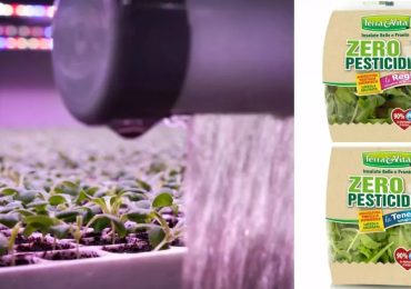 “Zero Pesticidi”: debutta in Gdo la nuova linea di insalate da vertical farming Terra&Vita