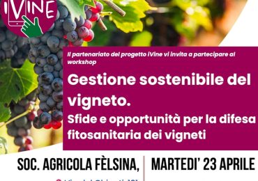 Vigneto sostenibile, iVine presenta i risultati - Difesa e diserbo - AgroNotizie