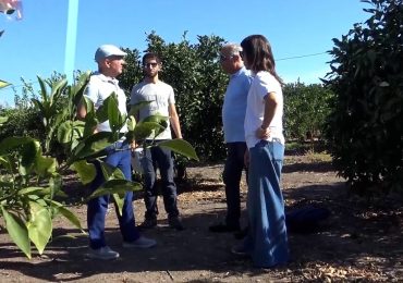 Strategie e tecnologie per il <b>risparmio Idrico</b> in agrumicoltura - YouTube