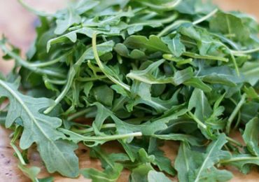 Fertilità maschile, da Rucola Igp contrasto a danni da inquinamento - Salernonotizie.it