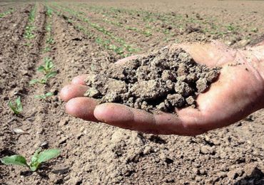 Sicilia, il prezzo della siccità: servono 720 milioni per salvarci dalla crisi - LiveSicilia