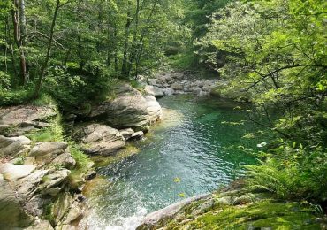 Legambiente presenta “Fiumiinforma”, lo stato di salute dei corsi d'<b>acqua</b> della costa vibonese