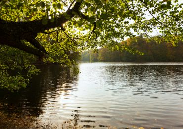 Qualità dell'<b>acqua</b> dei fiumi influenzata dalla connettività terra-fiume in un clima in cambiamento