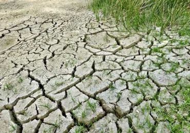 "<b>Acqua</b> in calo negli invasi e pozzi ko", agricoltori in allarme: "Si aggrava la morsa della ...