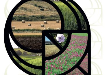 Al via a Palermo la Conferenza internazionale Ispamed 2024 - Quotidiano di Gela