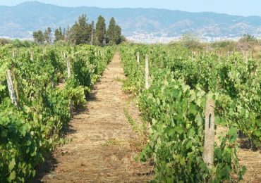 Estate al contagocce in Sicilia,nave e multe per <b>acqua</b> - Notizie - Ansa.it