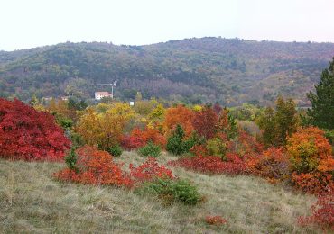 Rischio siccità sul Carso, l'appello dei tre sindaci ai cittadini: «Basta sprecare <b>acqua</b>
