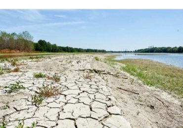 Legacoop chiede misure per le aziende agricole e zootecniche colpite dalla siccità