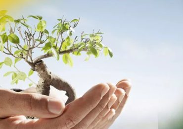 Sistemi di <b>gestione</b> ambientale - Portale Consulenti Sicurezza qualità ambiente bandi