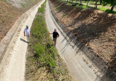 Siccità Puglia Cia Coldiretti Confagricoltura calamità naturale - Terra e Vita - Edagricole