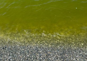 Lamezia. <b>Acqua</b> del mare verde, inizia male la stagione balneare - Iacchite.blog