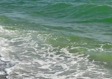 Mare verde, i circoli Pd di Gizzeria, Falerna e Nocera Terinese sfiduciano Arpacal e Regione