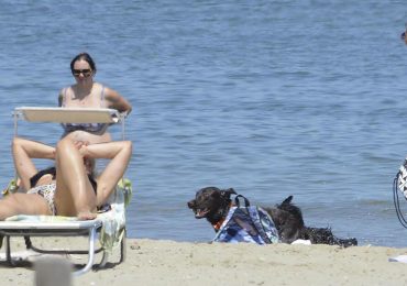 Riapre 'Abbaia Flaminia'. Cuccette, ciotole, docce e divertimenti in <b>acqua</b>. Ecco la spiaggia per cani