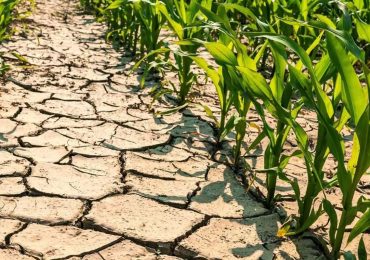 Centrosud senza acqua tra 3 settimane - Il Quotidiano d'Italia