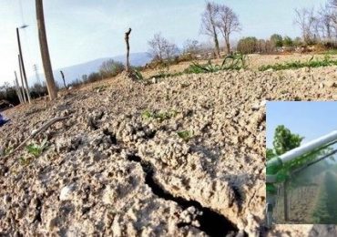 PIEDIMONTE MATESE / PIETRAVAIRANO / VENAFRO. A metà agosto agricoltura del ...