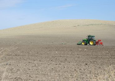 Siccità, agricoltura in ginocchio. Cia: «Riconoscere lo stato di calamità - CoratoLive.it