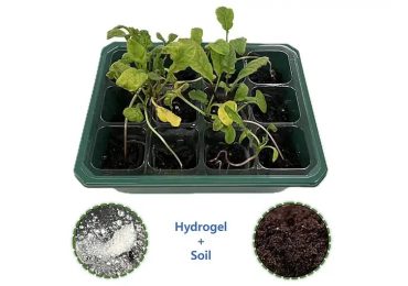 Rivoluzione agricola: il terreno intelligente che si irriga e si nutre da solo - Futuro Prossimo