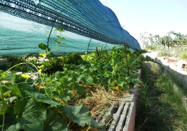Le ombreggiature per l'orto e il campo: importantissime con il grande caldo