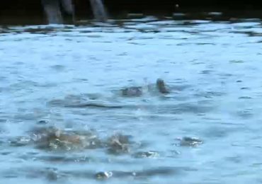 Macerata, stress idrico in salita - RaiNews