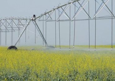 Cina, risultati positivi nello sviluppo verde agricolo
