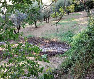 A Proposito di <b>Acqua</b> da <b>Risparmiare</b> e <b>Acqua</b> Che si Disperde - Terni - Virgilio