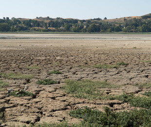 Difendiamo l <b>Acqua</b> il Decalogo dei Cittadini Contro la Siccit in Sicilia - Trapani - Virgilio