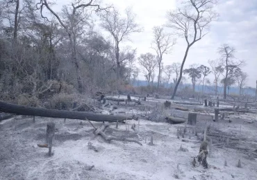 Le grandi perdite della Bolivia: foreste, <b>acqua</b> e ghiacciai