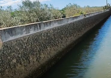 Due giorni di pioggia non bastano per ridare <b>acqua</b> agli agricoltori - TarantoBuonaSera