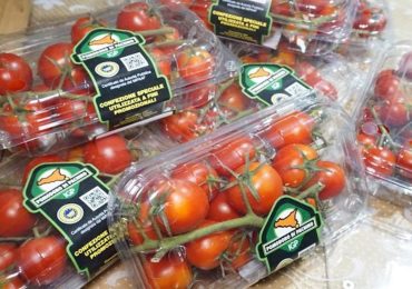 Il Pomodoro di Pachino certificato Goccia Verde - Myfruit
