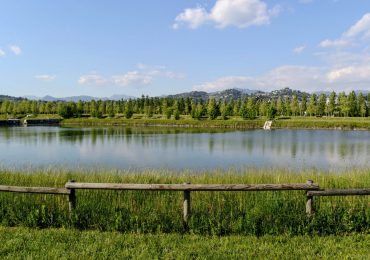 Al Parco della Trucca morti anche quindici germani: forse l'<b>acqua</b> la causa - Prima Bergamo