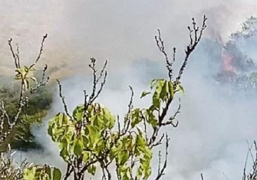 Ben 42 incendi dolosi in Basilicata: distrutti boschi ma anche raccolti agricoli