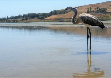 Ribera: L'assessorato all'Energia assegna 50 mila metri cubi di <b>acqua</b> dal Gorgo all'agricoltura