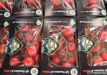 Combattere la siccità e sostenere le coltivazioni in serra - FreshPlaza