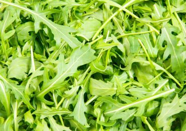 La rucola protegge gli spermatozoi: ecco perchè - Tgyou24.it